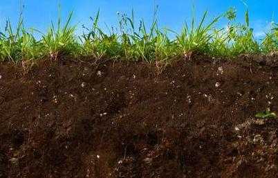 黑钙土土壤（黑钙土土壤腐殖质）-图2