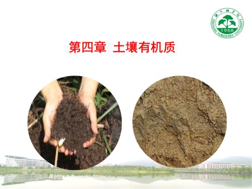 土壤机坏（土壤中常用的机质）-图2