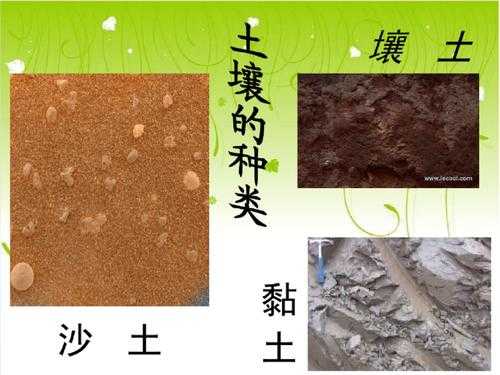 常见的三类土壤有（常见的三类土壤是什么）-图1