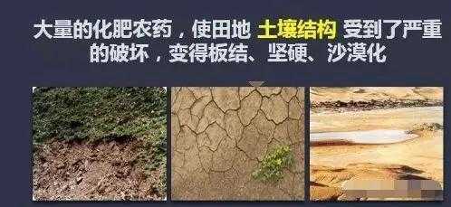 肥料对土壤的影响（肥料对土壤的影响有哪些）