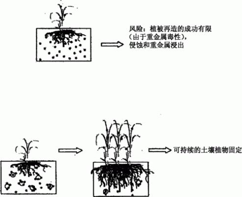 土壤恢复对策（土壤修复策略）-图1