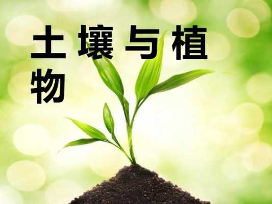 酸碱性土壤植物（土壤酸碱性与植物生长的关系）