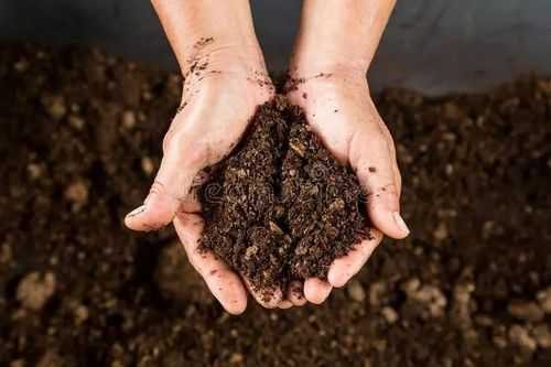 保养土壤（土壤怎么保湿）