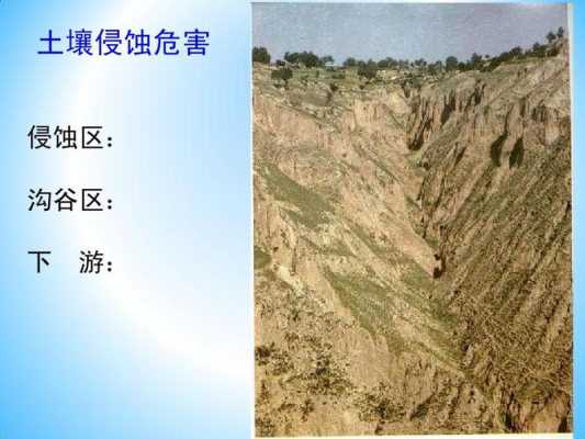 土壤侵蚀状况（土壤侵蚀现状及其治理措施）-图3