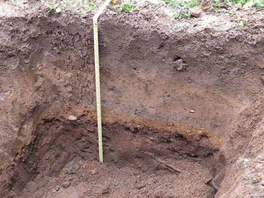 土壤剖面图怎么画（土壤剖面图画法）