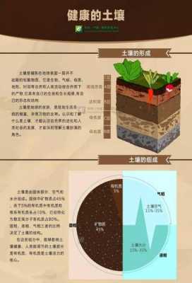 土壤主要由什么组成的（土壤主要由什么组成的?）-图2