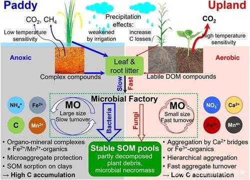 增加土壤氮（增加土壤氮素营养最主要的方法是什么）