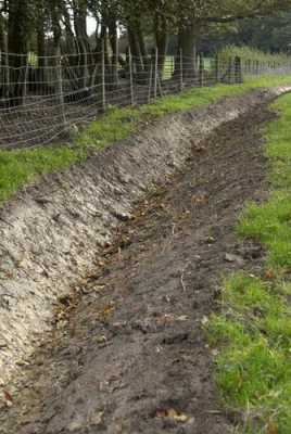英国的土壤（英国的土壤植被）-图1