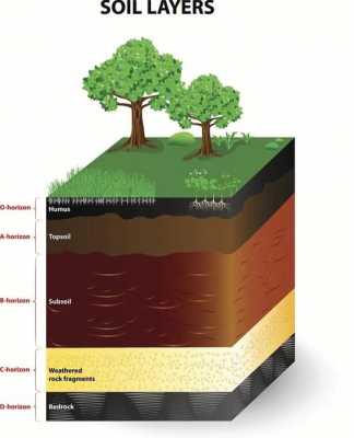 土壤与陆地（土壤指陆地表层具有一定）-图3