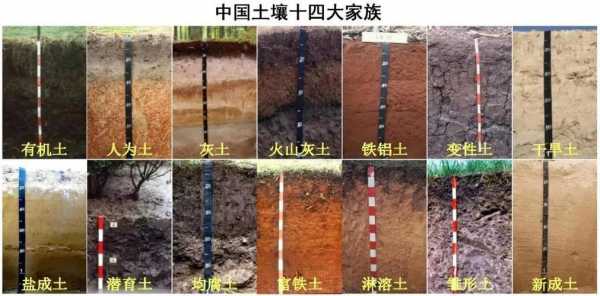 土壤驻状土（土壤柱状）-图3