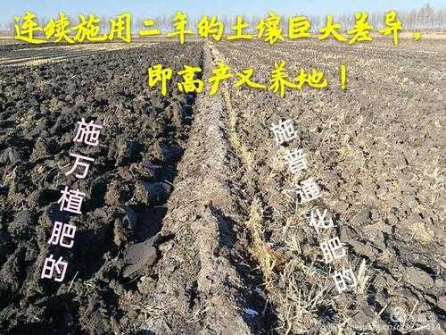 稻田改良土壤（改良土壤常用的方法有哪三种）-图2