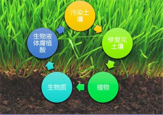 稻田改良土壤（改良土壤常用的方法有哪三种）-图3