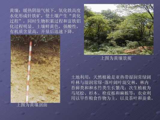 柳州土壤图（柳州土壤类型）-图2