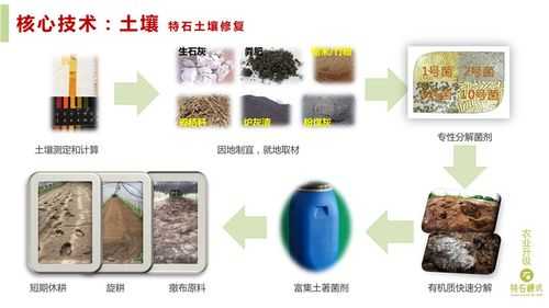 石膏改良碱性土壤（石膏改良碱性土壤的作用）-图1