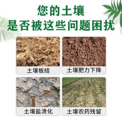石膏改良碱性土壤（石膏改良碱性土壤的作用）-图3