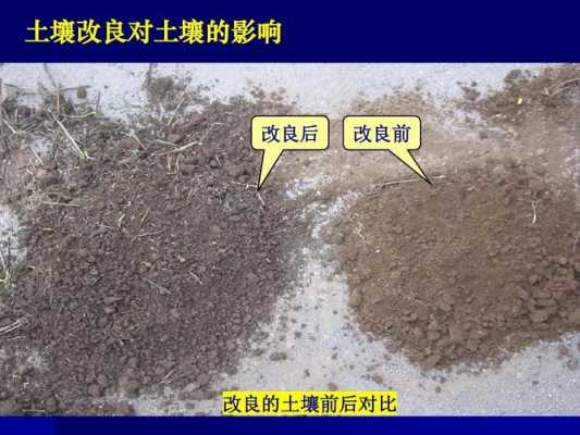 土壤残留量（土壤残留药害）-图1