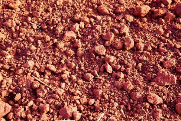 土壤红色钙（土壤变红是什么元素多）