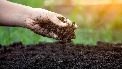 改善土壤的酸（改善土壤）