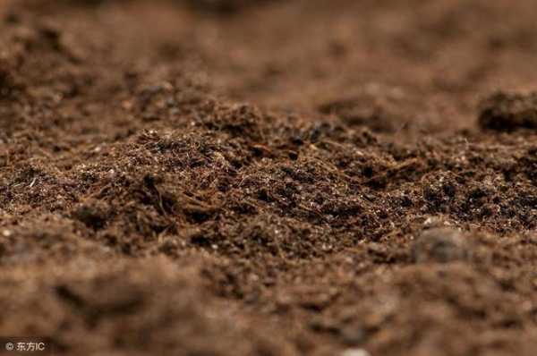 土壤像泥巴（土壤像什么一样松软）-图1