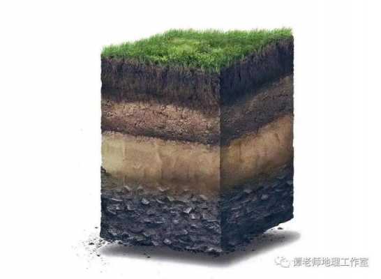 土壤的未来（土壤演变）