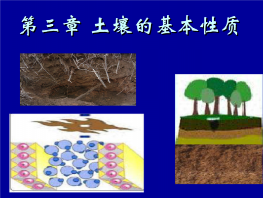 土壤形成的五大因素（土壤形成的五大因素相关实验）-图2