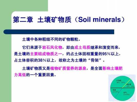 土壤中的矿（土壤中的矿物组成依其成因可分为）-图1