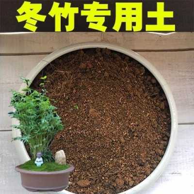 竹子的土壤（竹子的土壤如何调配）-图3