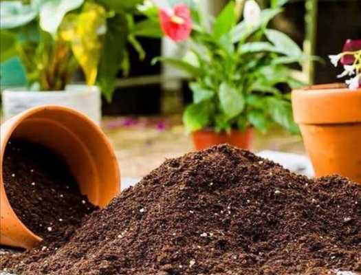 适宜植物的土壤（大多数植物适宜在什么土壤中生长）