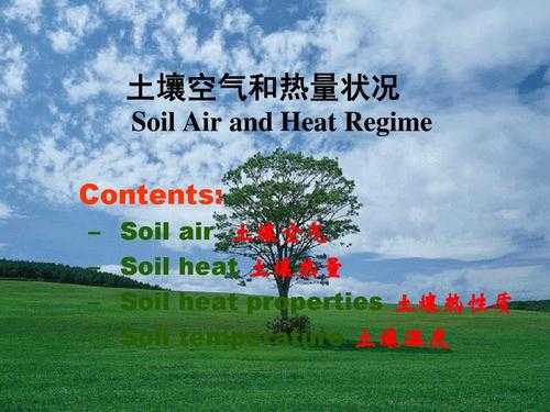 土壤的空气（土壤的空气成分和含量与大气一样）-图3