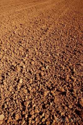 黏土壤土（黏土壤土图片）-图1