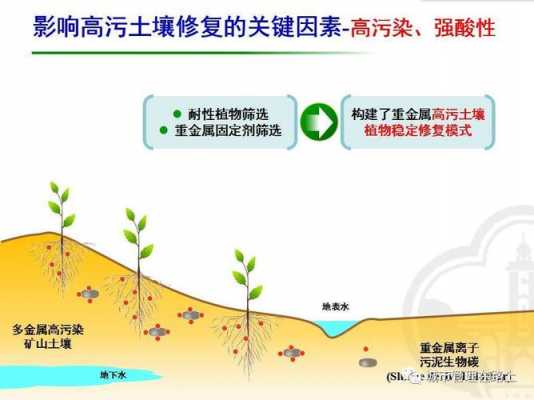 耦合土壤修复（土壤联合修复）-图3