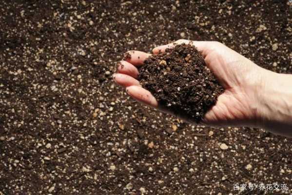 配备土壤（土壤配肥的基本措施有哪些?）-图3