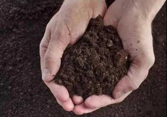 配备土壤（土壤配肥的基本措施有哪些?）-图2