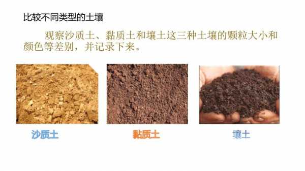 黏质土土壤的简单介绍