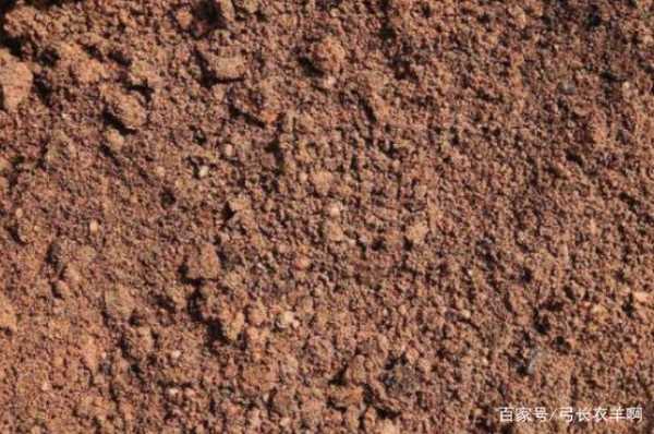 黏质土土壤的简单介绍-图2