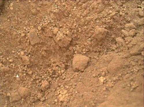 土壤里面有沙黏土（土壤里面有沙黏土还有什么）-图1