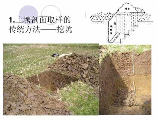 土壤剖面的ph（土壤剖面的挖掘方法）