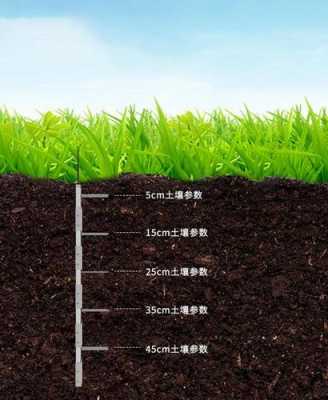 土壤剖面的ph（土壤剖面的挖掘方法）-图2