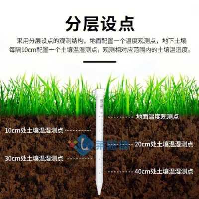 土壤积水标准（怎么知道土壤积水了）-图3