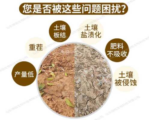 关于土壤板结放什么肥料的信息-图1