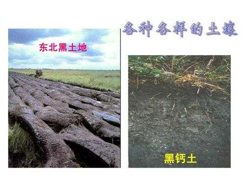 华北的土壤类型（华北地区土壤特征）