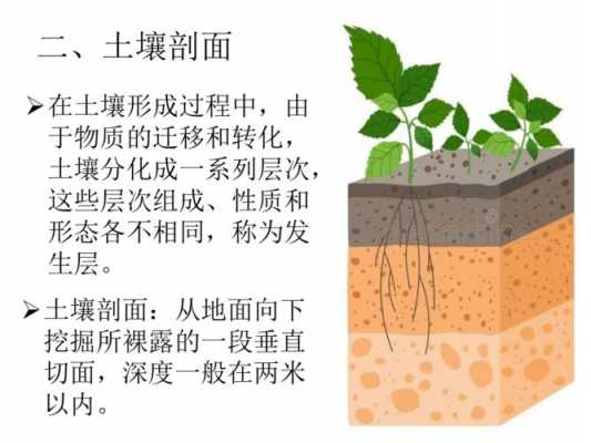 土壤结构的改善（改善土壤结构的主要技术措施）-图3