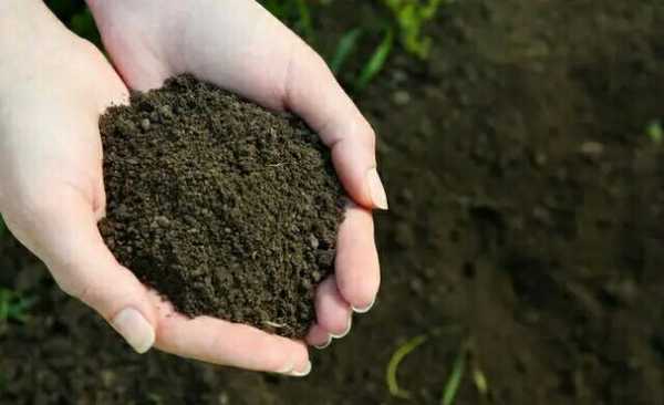 制肥土壤（怎么给土壤加肥）