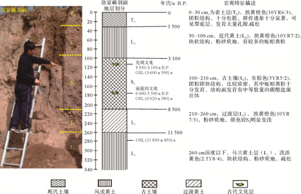 黄土古土壤序列（黄土古土壤序列及其古环境意义）