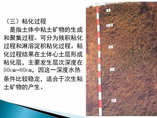 土壤粘化（土壤粘化系数）