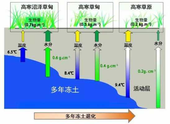 青藏高原地区土壤（青藏高原地区土壤水循环特点）-图1