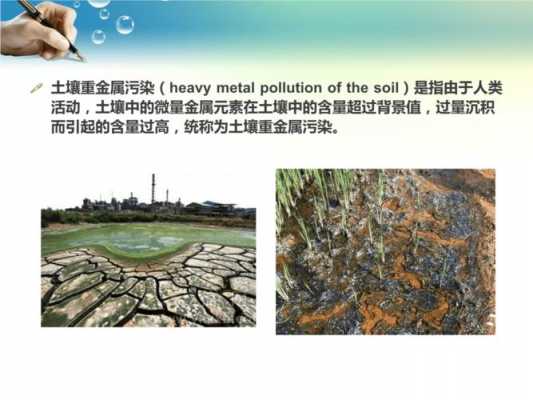 重金属土壤污染现状的简单介绍