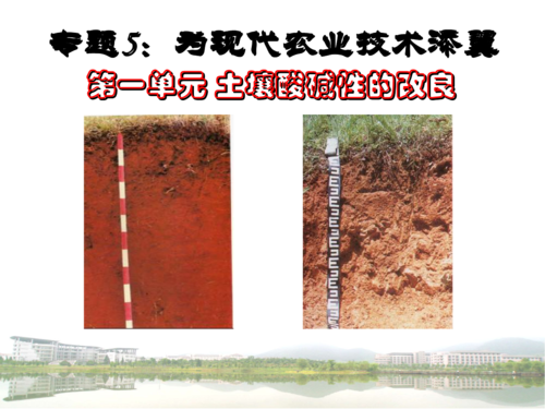 碱性土壤改良技术（碱性土壤的改良）-图1