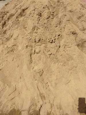 沙子的土壤（沙子土壤化材料）-图1