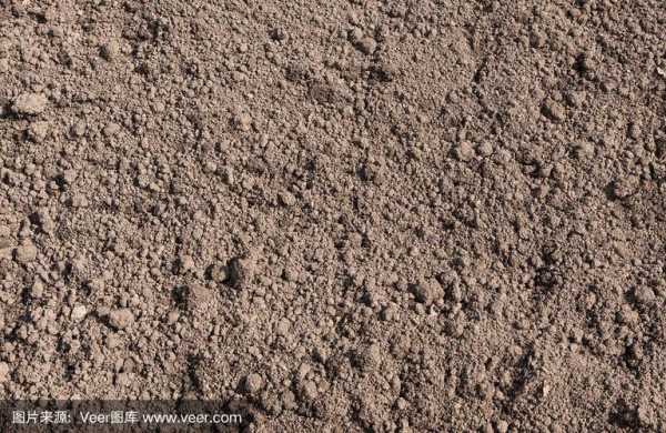 沙子的土壤（沙子土壤化材料）-图3